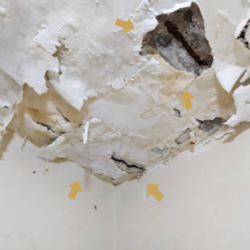 Umidade, Armaduras expostas.